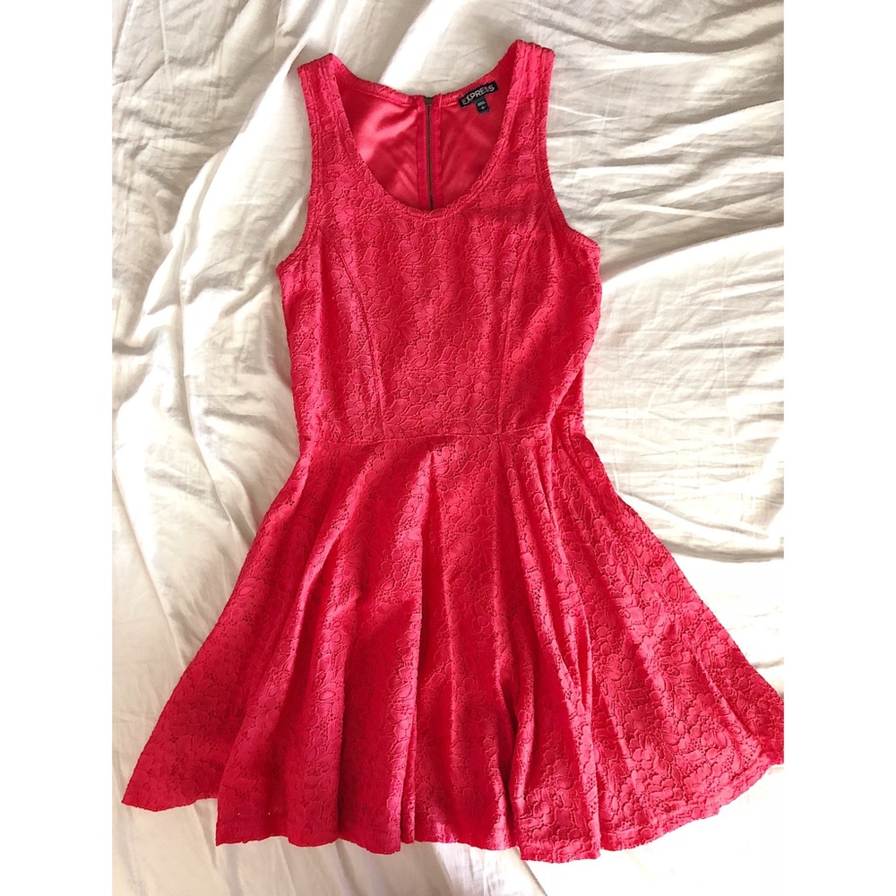 Express Above Knee Dress